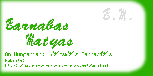 barnabas matyas business card